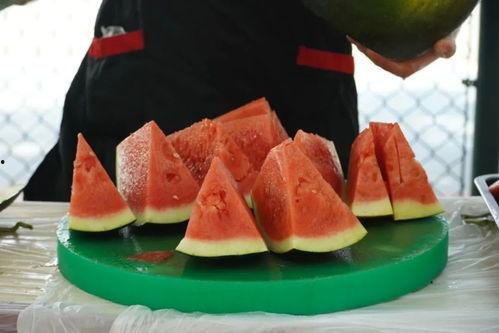 江西航空职业吃瓜,揭秘幕后吃瓜风云