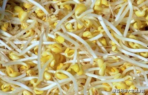 蚂蚁和豆芽吃瓜,蚂蚁与豆芽的瓜田奇遇记