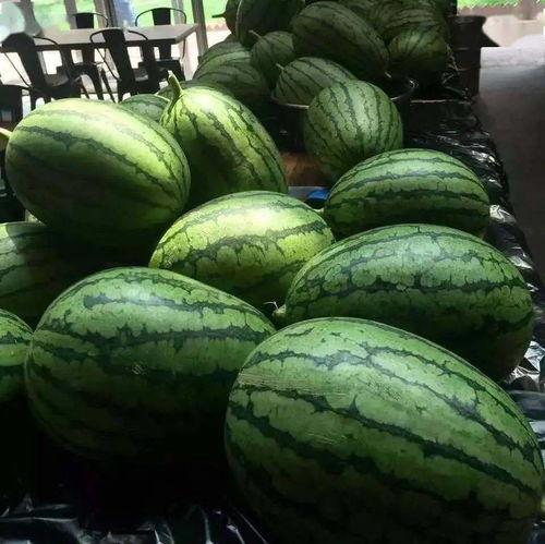 光遇吃瓜信息,揭秘神秘吃瓜事件，探寻游戏背后故事