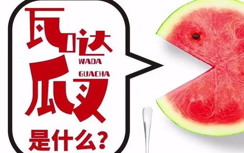 瓦达吃瓜啥意思,揭秘网络热词背后的趣味与内涵