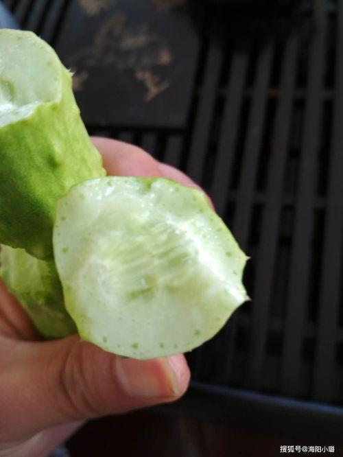 白玉瓜可以吃吗,美味可口的健康食材，你了解多少？