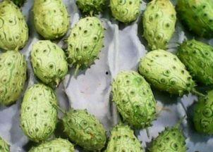 刺角瓜可以吃吗,美味与营养并存的神奇果实