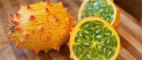 刺角瓜可以吃吗,美味与营养并存的神奇果实