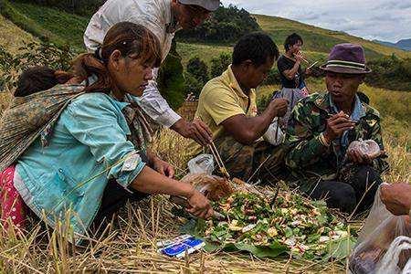 辽宁农民吃瓜的时间,丰收时节尽享田园美味