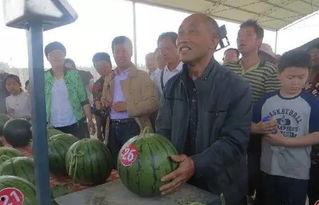 马坊吃瓜群众事迹,见证时代变迁的民间观察者