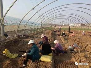 太和界首吃瓜视频,揭秘当地特色美食背后的故事