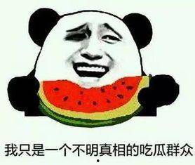 吃瓜兜风事件,揭秘网络舆论的风云变幻