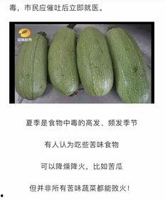 吃脆瓜吃到苦,揭秘美味背后的苦涩之谜 第1张 吃脆瓜吃到苦,揭秘美味背后的苦涩之谜 第1张