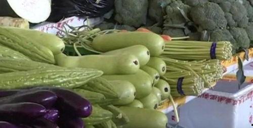 吃脆瓜吃到苦,揭秘美味背后的苦涩之谜 第2张 吃脆瓜吃到苦,揭秘美味背后的苦涩之谜 第2张