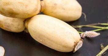 藕吃瓜 第1张 藕吃瓜 第1张