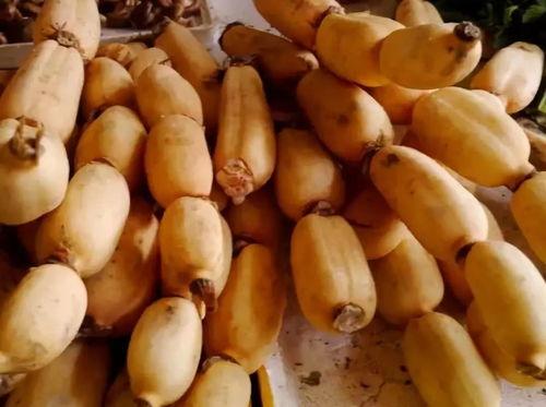 藕吃瓜 第2张 藕吃瓜 第2张