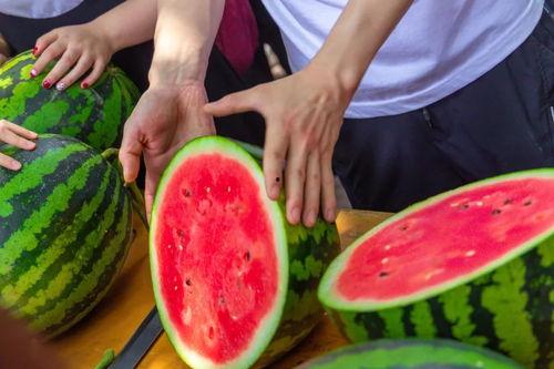 学校吃瓜了,揭秘“学校吃瓜”背后的故事 第2张 学校吃瓜了,揭秘“学校吃瓜”背后的故事 第2张