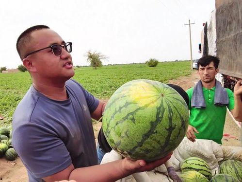 mega 吃瓜,揭秘娱乐圈最新热点事件 第3张 mega 吃瓜,揭秘娱乐圈最新热点事件 第3张