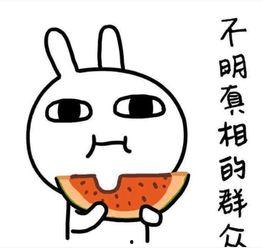 贵圈吃瓜的幽默句子,瓜田李下，笑料连连  第2张