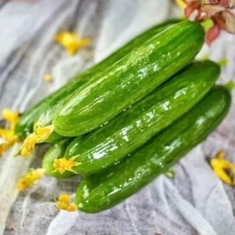 早瓜什么季节吃  第2张