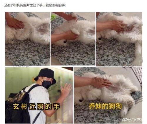 宋慧乔最近吃瓜视频,揭秘明星私生活幕后真相  第2张