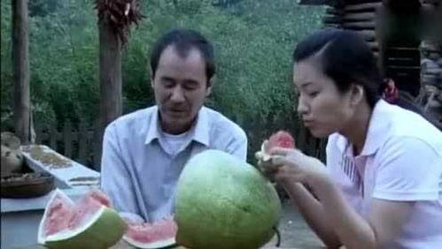 重生农村下乡吃瓜,下乡吃瓜，体验田园生活新篇章  第3张