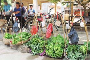 出门摆摊吃瓜视频,一探究竟的摆摊吃瓜视频  第2张