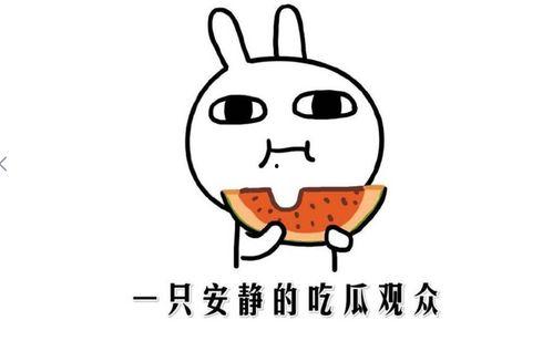 吃瓜吃到自己啥意思  第3张