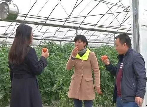 吃瓜与围观群众,揭秘网络围观现象背后的心理奥秘  第1张