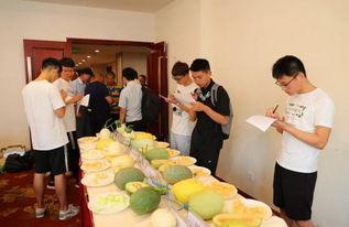 吃瓜与围观群众,揭秘网络围观现象背后的心理奥秘  第3张