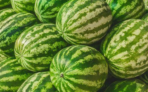 吃瓜哪里最多 第2张 吃瓜哪里最多 第2张