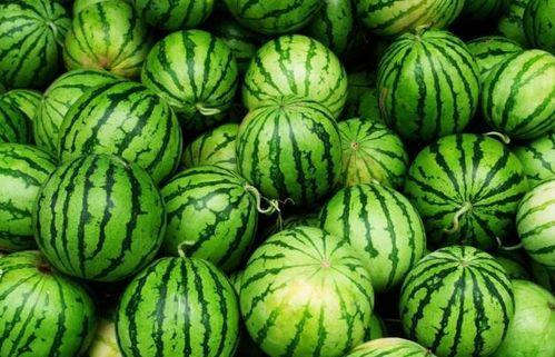 吃瓜哪里最多 第3张 吃瓜哪里最多 第3张