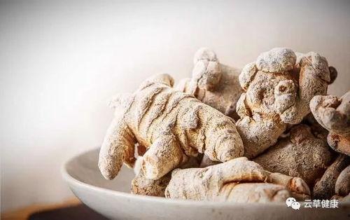 吃土瓜可以吃三七吗女生,女性养生新选择 第1张 吃土瓜可以吃三七吗女生,女性养生新选择 第1张