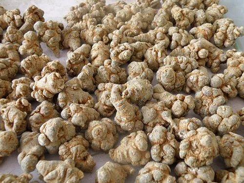 吃土瓜可以吃三七吗女生,女性养生新选择 第2张 吃土瓜可以吃三七吗女生,女性养生新选择 第2张