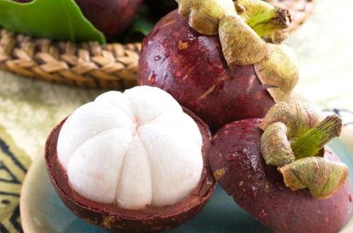 梧子瓜怎么吃,解锁美味新体验  第2张