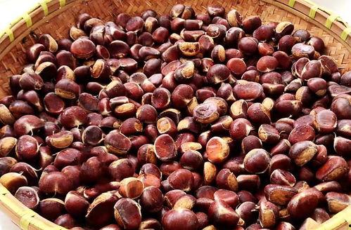 秋分几点吃瓜,揭秘最佳吃瓜时间  第2张