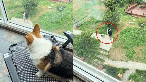 吃瓜情侣楼下吵架  第3张