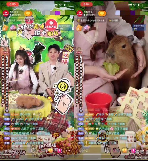 吃瓜大王抖音  第2张