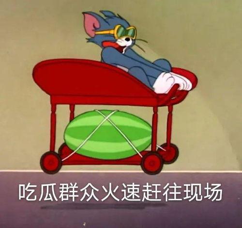 相亲对象发吃瓜,揭秘相亲对象的神秘面纱 第1张 相亲对象发吃瓜,揭秘相亲对象的神秘面纱 第1张