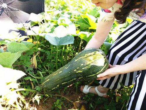 大兰瓜咋吃  第2张