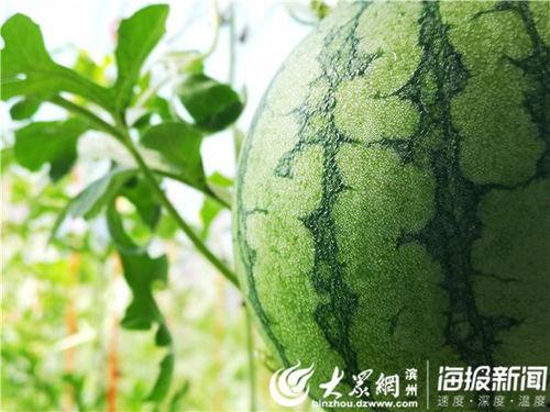 今日吃瓜五一吃瓜,盘点热门事件，轻松度过欢乐时光  第3张