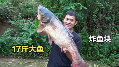 耙耳朵刘大瓜吃八瓜鱼,耙耳朵刘大瓜的八瓜鱼美食之旅  第1张