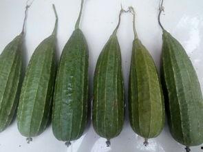 有谁吃瓜,揭秘“有谁吃瓜”背后的八卦盛宴  第3张