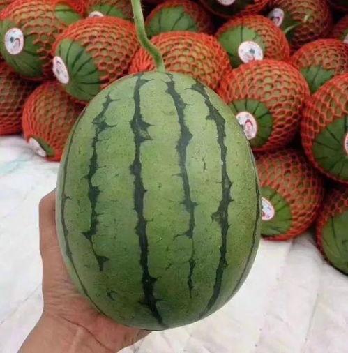 聊天记吃瓜,揭秘聊天记中的那些幕后故事 第1张 聊天记吃瓜,揭秘聊天记中的那些幕后故事 第1张