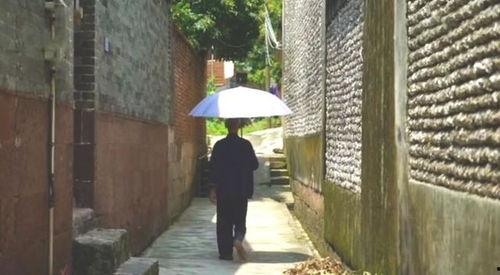 围墙吃瓜事件,一场引发社会热议的公共道德风波  第1张