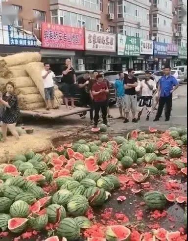 围墙吃瓜事件,一场引发社会热议的公共道德风波  第3张