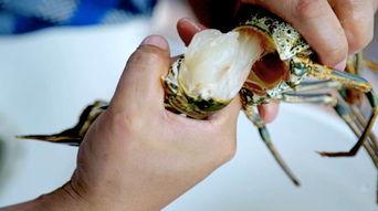 巴拿马吃瓜,揭秘背后的国际风云  第2张