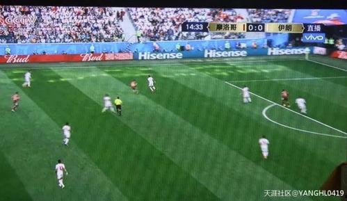 吃瓜群众打球视频下载,一球一世界，下载见证精彩瞬间  第3张