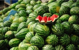 吃瓜发瓜条怎么投稿  第3张