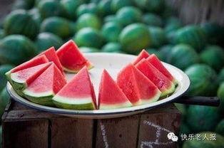 吃瓜治病,揭秘瓜果中的神奇治病功效  第1张