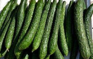 刺瓜减肥可以吃,天然草本，轻松享瘦新选择  第3张