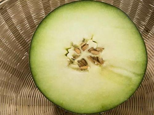 吃蜜瓜怎么切,轻松解锁夏日清新美味  第2张