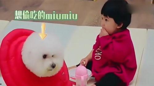 瓜妞吃的啥,探寻她钟爱的美味佳肴 第2张 瓜妞吃的啥,探寻她钟爱的美味佳肴 第2张