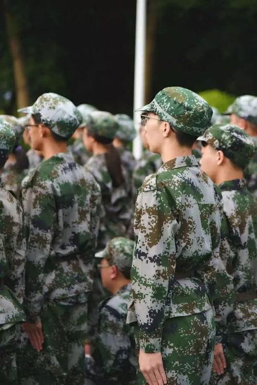 吃瓜视频军训,吃瓜群众围观青春热血 第2张 吃瓜视频军训,吃瓜群众围观青春热血 第2张