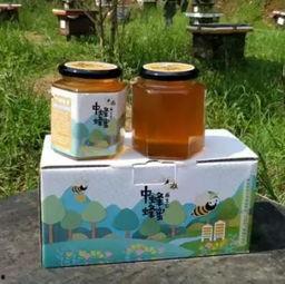 公益吃瓜全家桶,一场全民参与的爱心盛宴